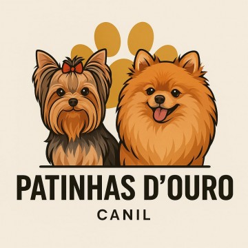 Sobre Nós